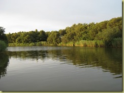 IMG_1014 IMG_1014