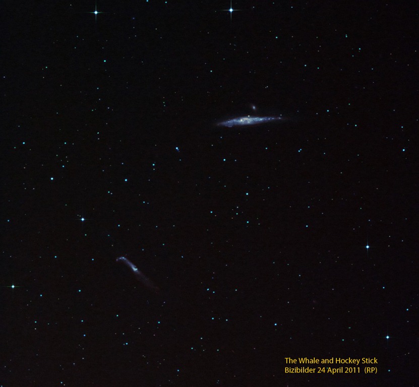 [NGC4631 Reprocessed[3].jpg]