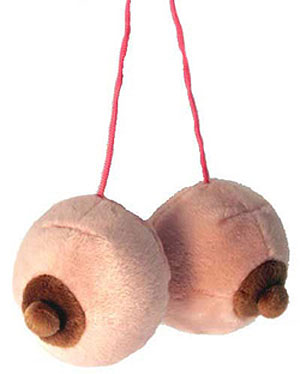 lg-furry-boobs-prezzies%20copy.jpg