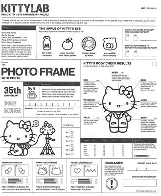 [Hello Kitty Lab 2009 - Lab Report[2].jpg]