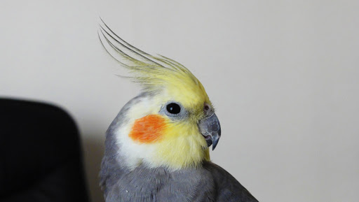 http://lh3.ggpht.com/_bkm4RiKQd9g/TFRBjmLUGYI/AAAAAAAAAWM/iUOOxh9JRO0/DSC01573.JPG