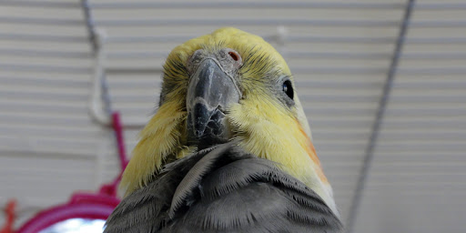 http://lh3.ggpht.com/_bkm4RiKQd9g/TFRKE6wb2iI/AAAAAAAAAW8/xeDQRw3IiOs/DSC01710.jpg