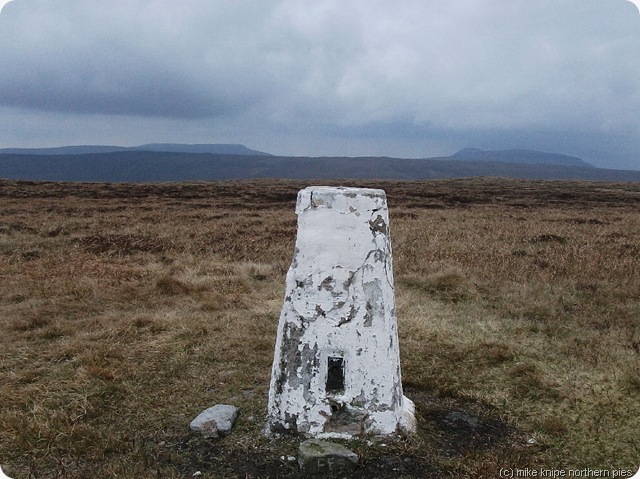 middle tongue trig point