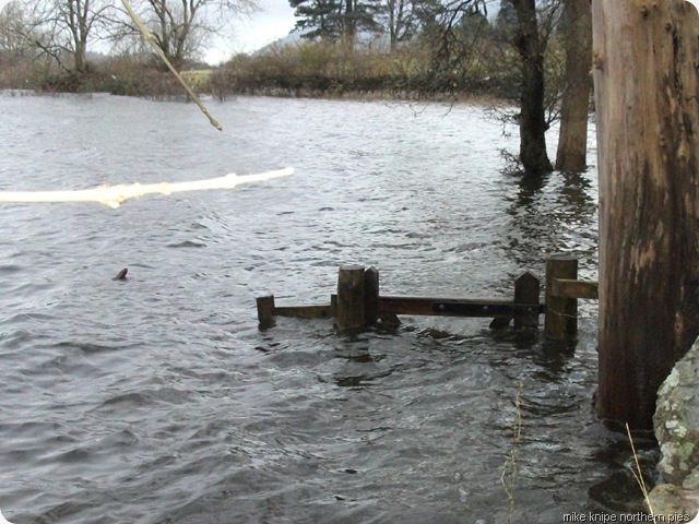 stile underwater