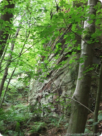 gelt wood quarry