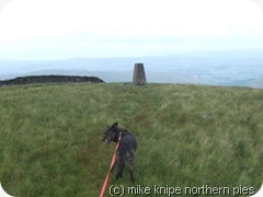 crag hill trig