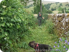 man with strimmer