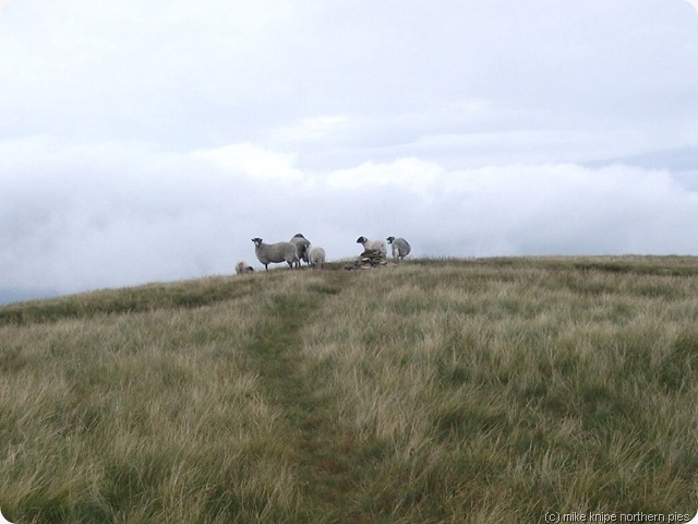 crag hill occupied