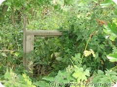 thats the stile thats the stile