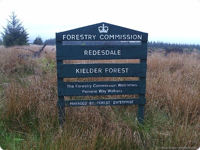 kielder forest on the pw