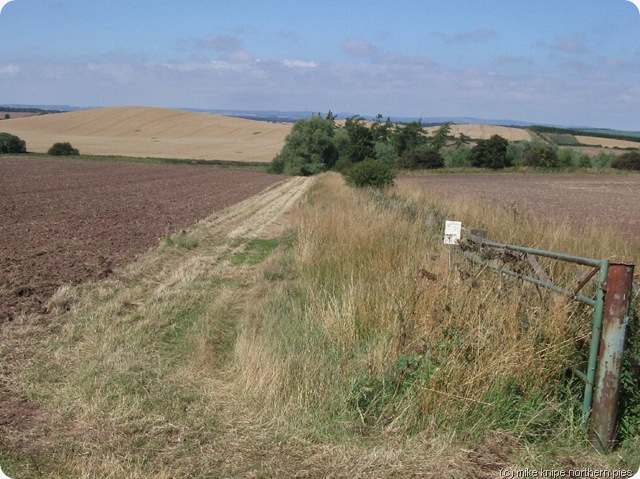 berwickshire countryside