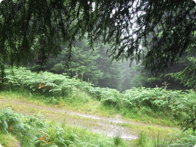 sheltering at the start