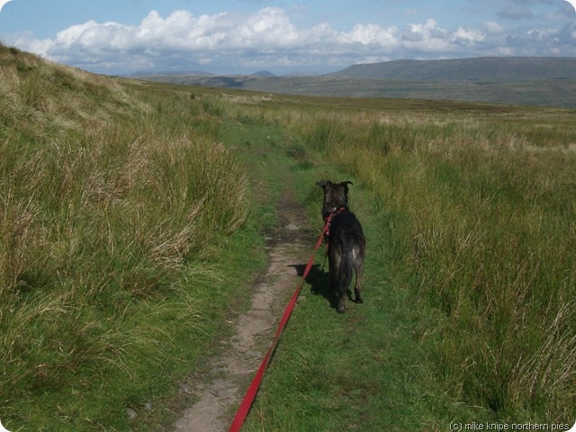 craven way green trod