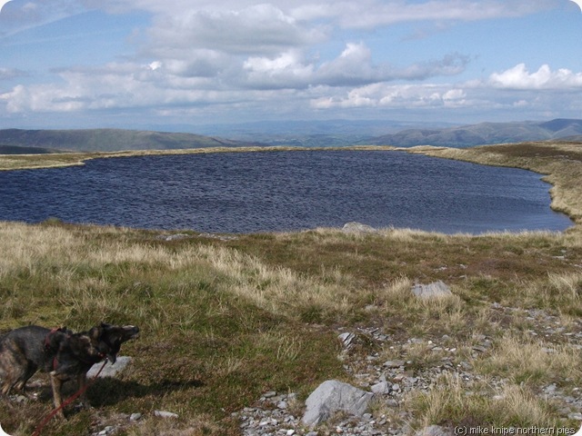 whernside tarn whernside tarn