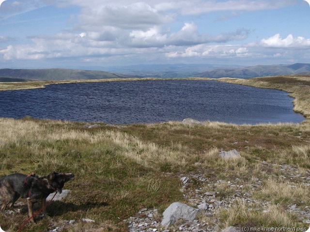 whernside tarn