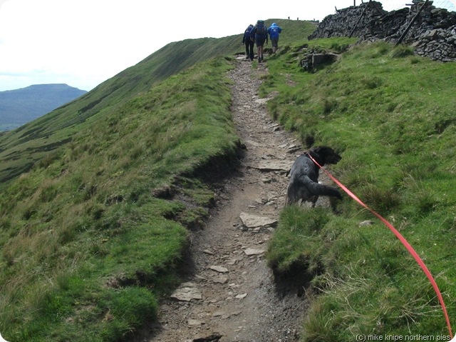 whernside summit ridge