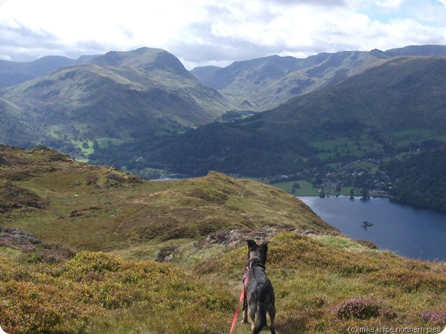 blaeberry knott