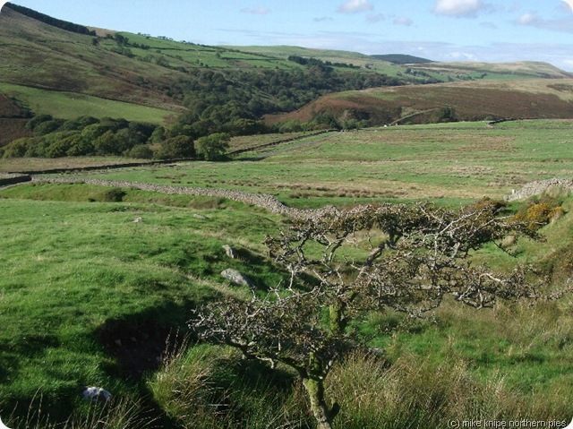 calder dale calder dale