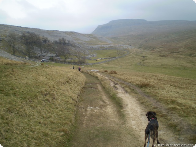 ingleborough from crina bottom ingleborough from crina bottom