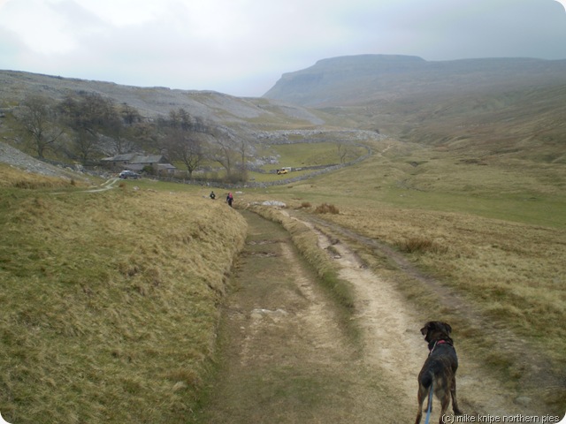 ingleborough from crina bottom