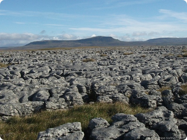 penyghent across limestone pavement penyghent across limestone pavement