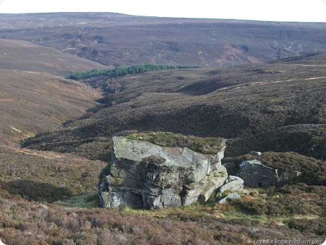 kielder stone