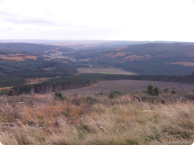 redesdale