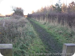 path49 001 path49 001