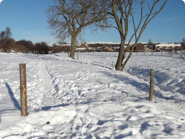 broken fence