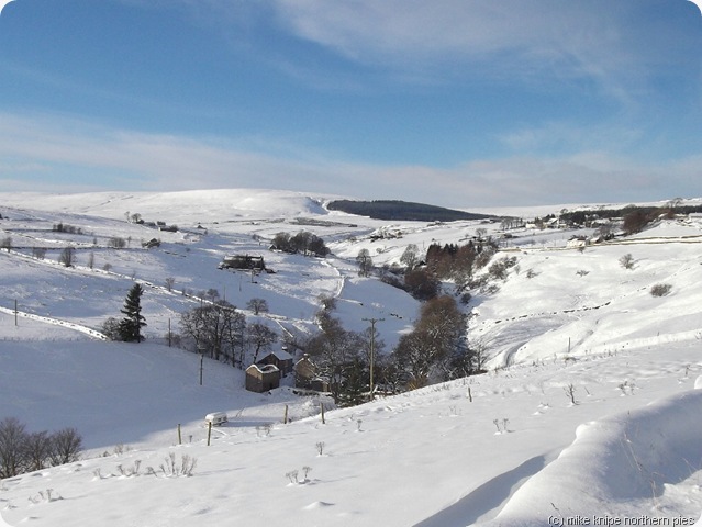 upper weardale