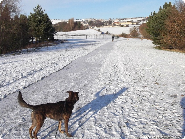 deerness valley walk start