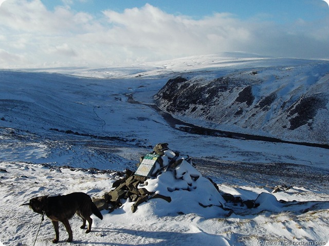 upper teesdale