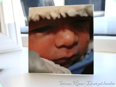 IMG_9907 IMG_9907