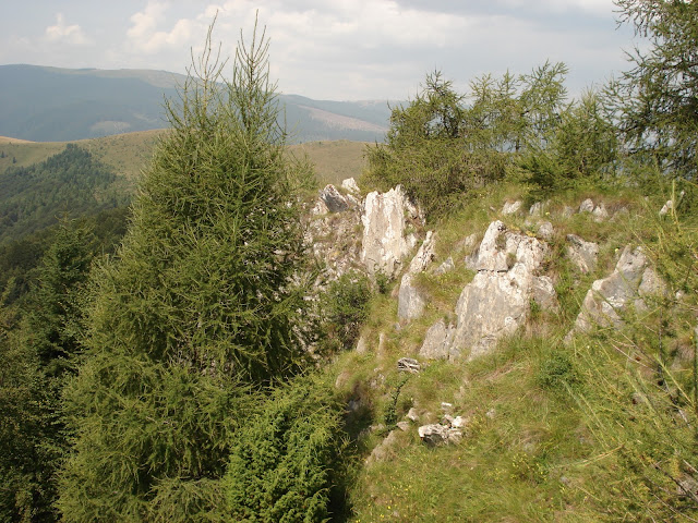 Kép