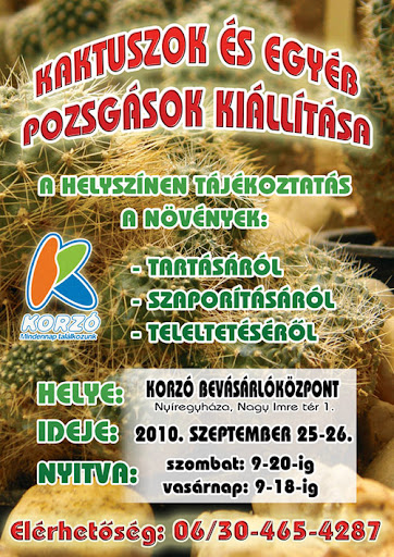 Kép