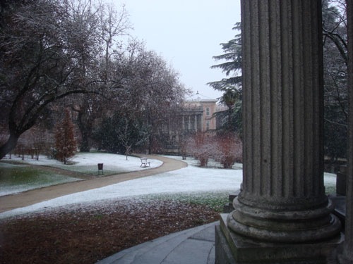 Capricho6