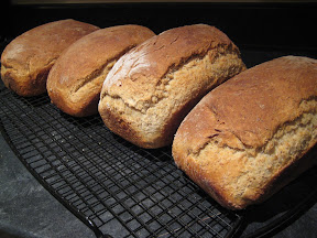 Fresh whole wheat bread