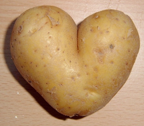 [Potato_heart_mutation1[3].jpg]