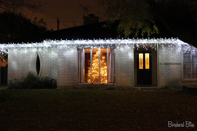 [Christmas Lights 2010 3[4].jpg]