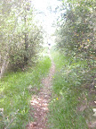 DSCN4239.JPG