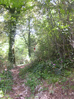 DSCN4244.JPG