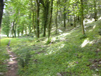 DSCN4248.JPG