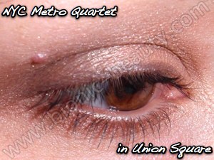 New York Color cosmetics - eyeshadow look in Union Square