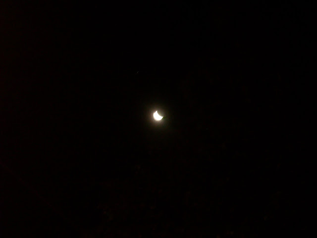 DSCN0512