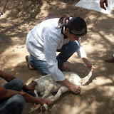 Rani Junior
