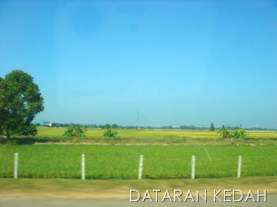 [DSC0003415.jpg]