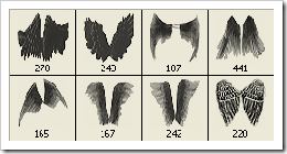 brush brush