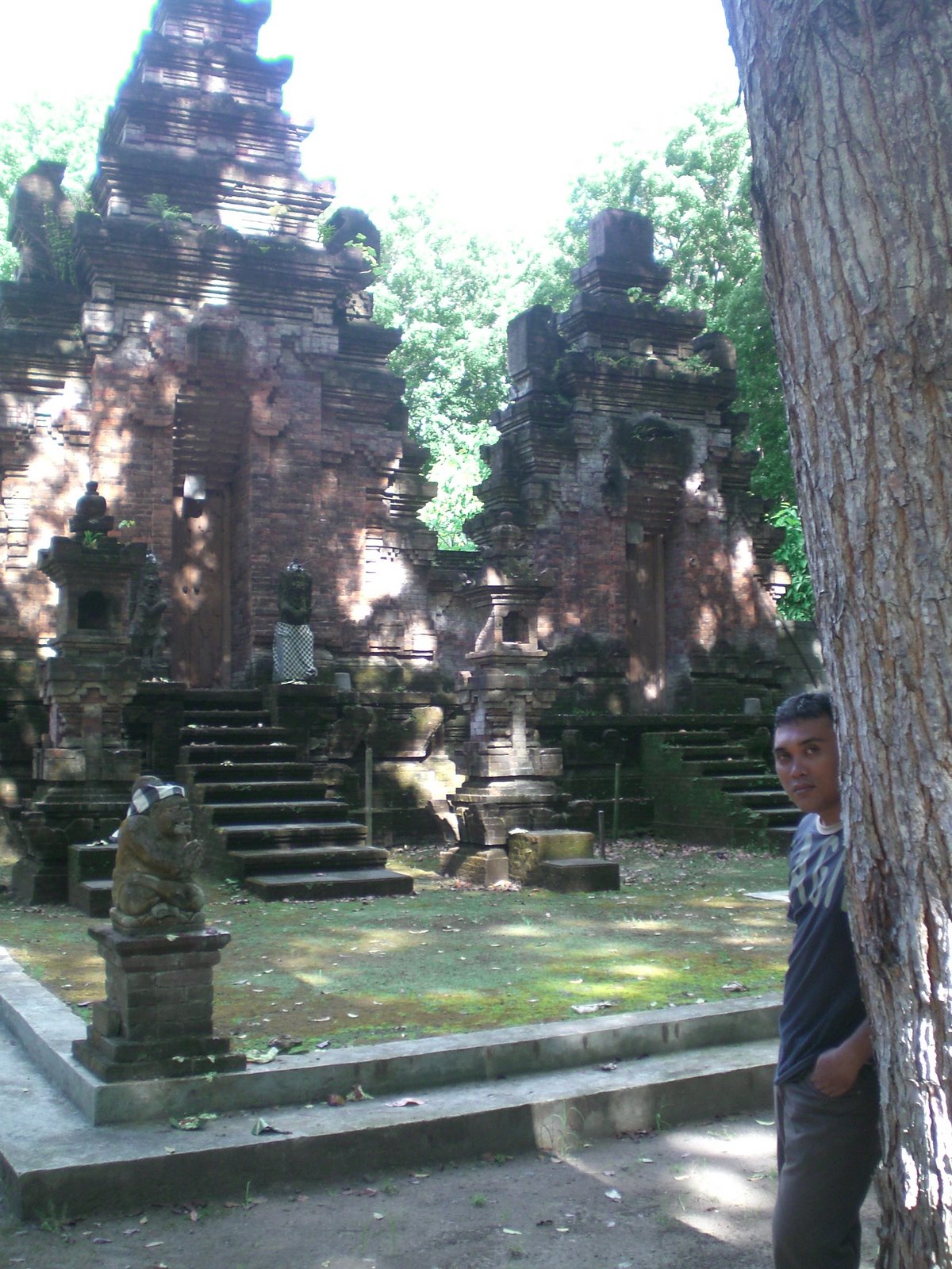 [CIMG6831.JPG]