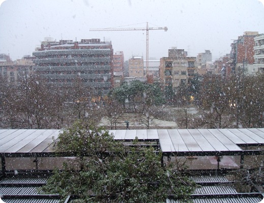 DSCF0316 DSCF0316