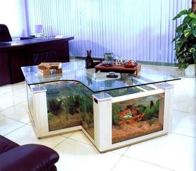 [aquario1[3].jpg]